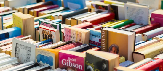 Les Echos Publishing 2021