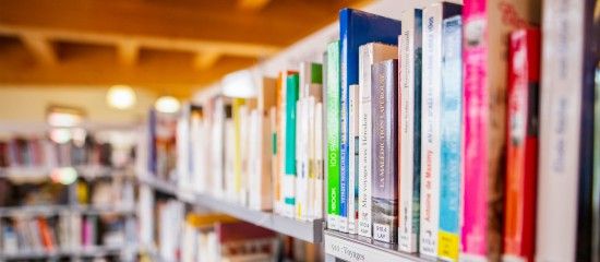 Les Echos Publishing 2023