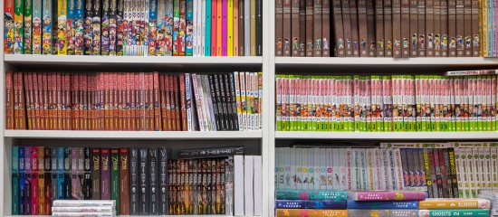 Les Echos Publishing 2024