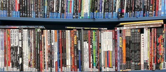 Les Echos Publishing 2025