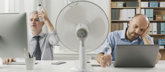 StockPhotoPro