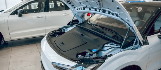 zinkevych - stock.adobe.com