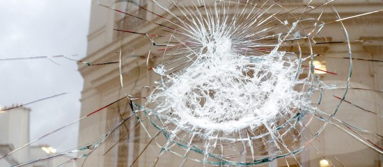 luzulee - stock.adobe.com